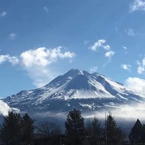 Meet your Posher, Darrin